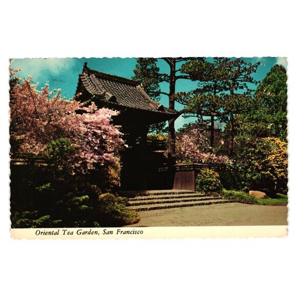 Vintage 1970s Postcard Oriental Tea Garden San Francisco California 5 Cent Stamp - Picture 1 of 2